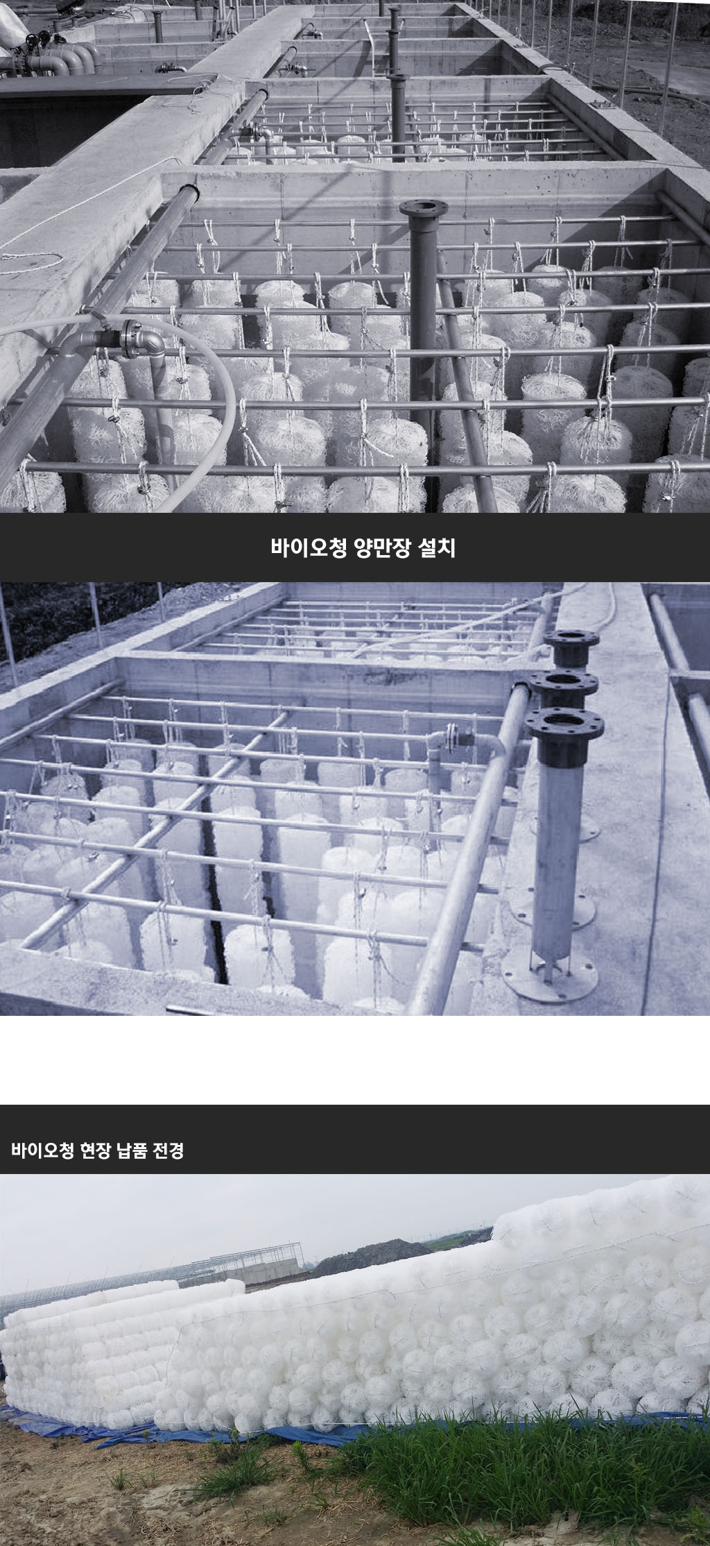 심볼