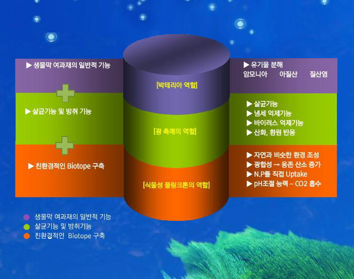 심볼