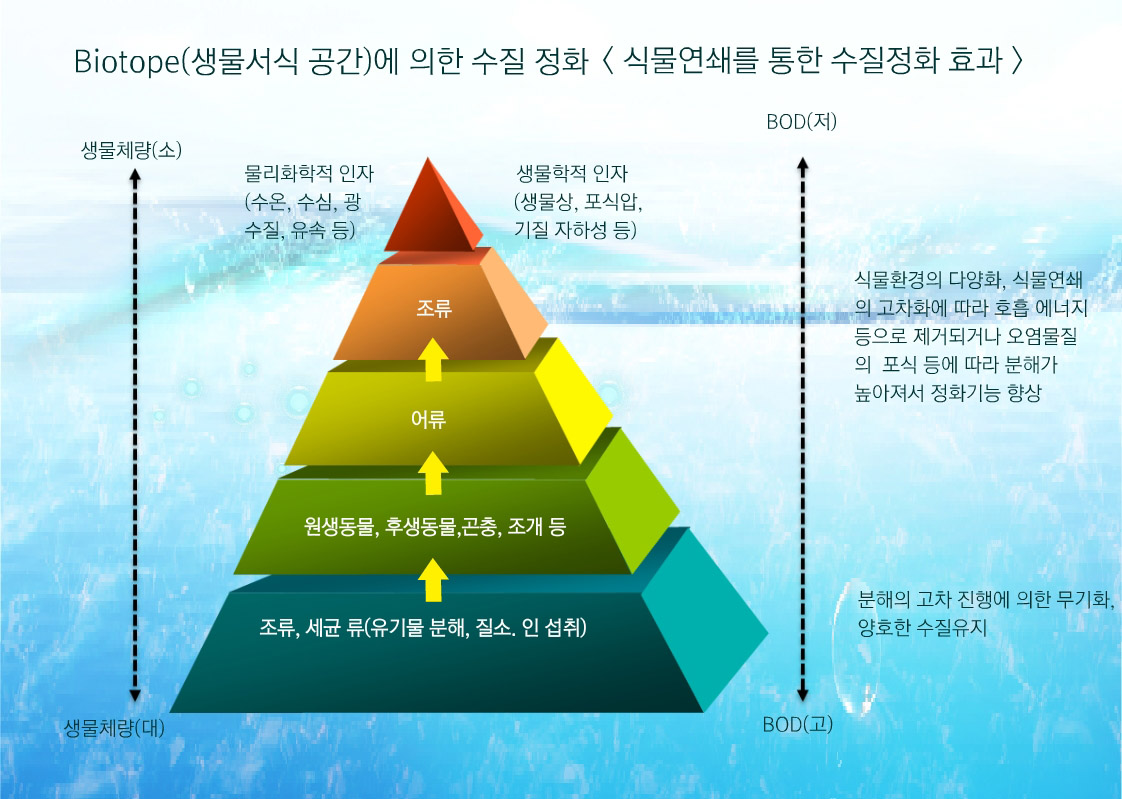   심볼
